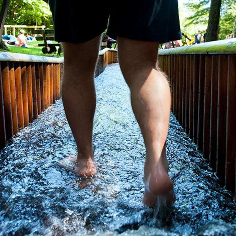 Vein Wellness in Houston, TX